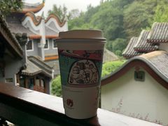 -茶颜悦色(岳麓山顶店)