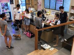 -宠小格时尚宠物生活馆(唐镇店)