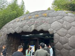 -中国西峡恐龙遗迹园