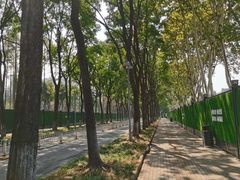 -后襄河公园