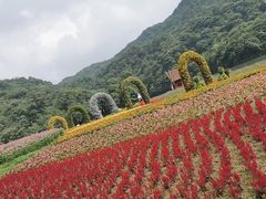 -广州市石门国家森林公园