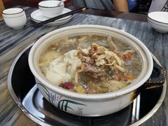 五指毛桃药膳鸽-鸽鸟轩(石岐店)