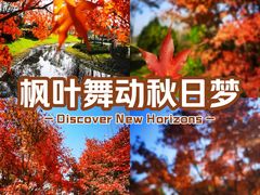 -尚贤河湿地