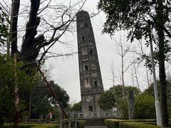 -上海佘山国家森林公园天马山园