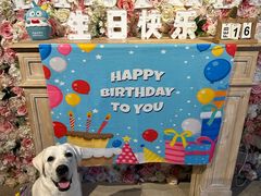 -百好乐宠物友好餐厅(朝外大街店)