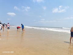 -日照海滨国家森林公园