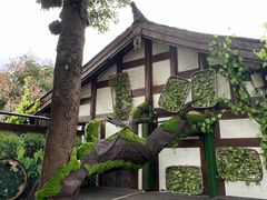 -南津关古镇