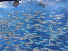 -成都浩海立方海洋公园