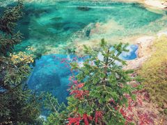 -叠溪松坪沟景区