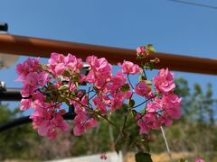 -小南山公园