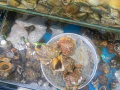 -仙螺岛海鲜自助餐厅(总店)