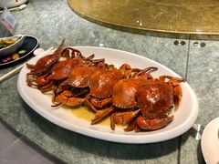 -欢乐海岸美食联盟