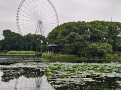-蠡湖大桥公园