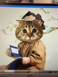 -哈尼Honey baby 儿童摄影(立丰国际公寓店)