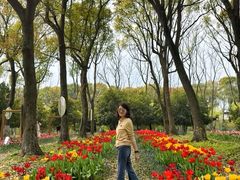 -上海鲜花港