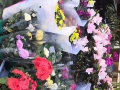 -曲阳花鸟市场(曲阳路店)