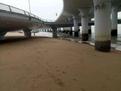 -演武大桥观景平台