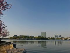 -大兴滨河森林公园