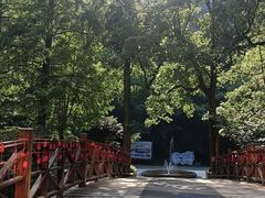 -宁海森林温泉