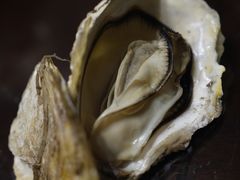 生蚝-木柴豆腐·活海鲜·鲁菜