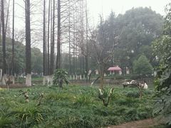 -中共上海市委党校 上海行政学院