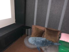 -极光点播影院·Switch.游戏馆(世界之窗店)