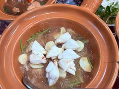 -大中鱼翅 Taitong Shark Fin