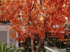 -杨记隆府重庆江湖菜(大悦城店)