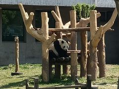 -沈阳森林动物园