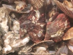 -宾朋海鲜美食特色餐厅·纯手工鲅鱼水饺(兴海路店)