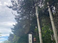 -秦岭峡谷漂流景区