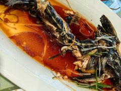 -老山东·山东菜(鲁菜名店)