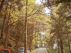 -金堂县云顶石城风景区