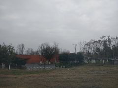 -郫都区农科村景区