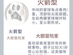 -翊宠yipet猫狗购宠庄园犬舍•猫舍