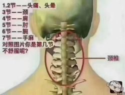 -天姿美容·美体科技SPA·艾姿美店