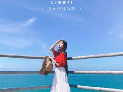 -广东惠东海龟国家级自然保护区