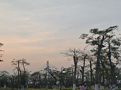 -芒洲湿地公园