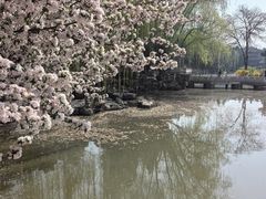 -莲池书院博物馆