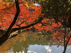 -醍醐寺