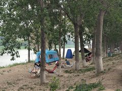 -天津武清北运河郊野公园房车露营地