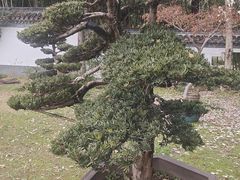 -水绘园