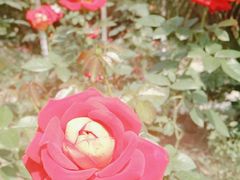 -人民公园(罗湖区)