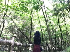 -老君洞旅游度假区