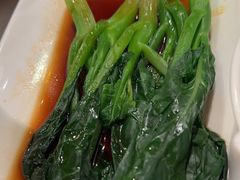 -金鼎轩(方庄天坛店)
