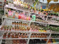 -KKV(深圳宏发大仟里店)