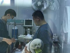 -瑞派雷欧宠物医院·中兽医·眼科·急重症转诊中心(黄台店)