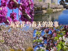 -元大都城垣遗址公园