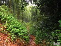 -会稽山峡洞漂流-上青古道