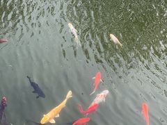 -春风习习
